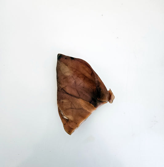 Pigs Ear