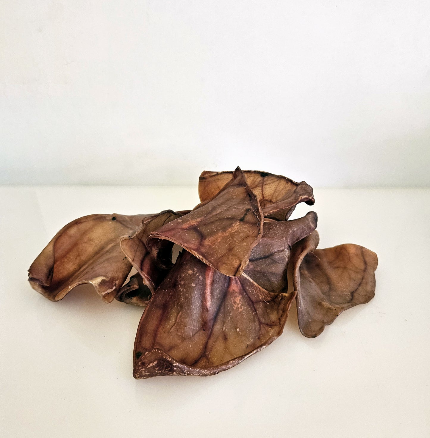 Pigs Ear