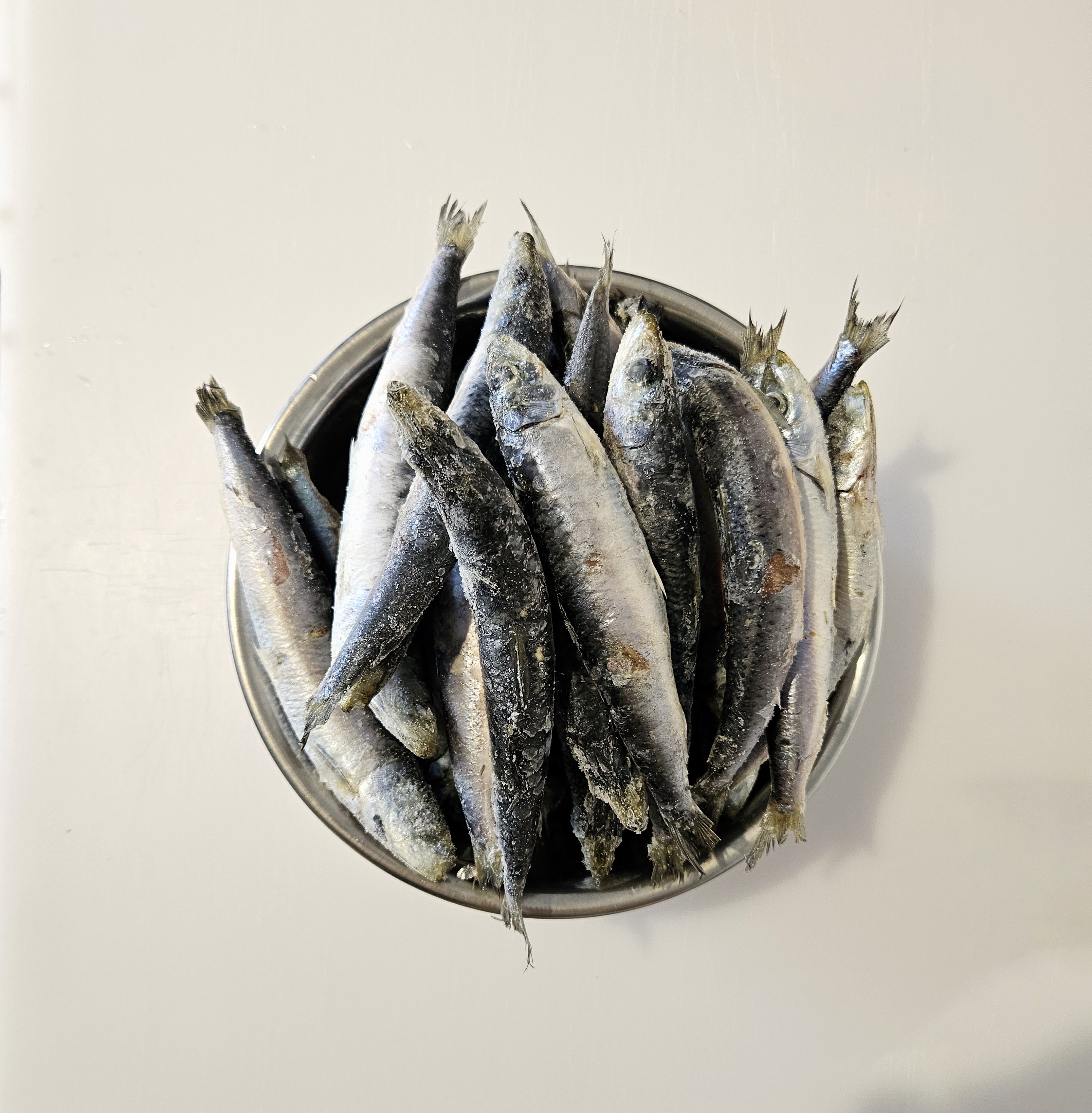 Sardines 1KG